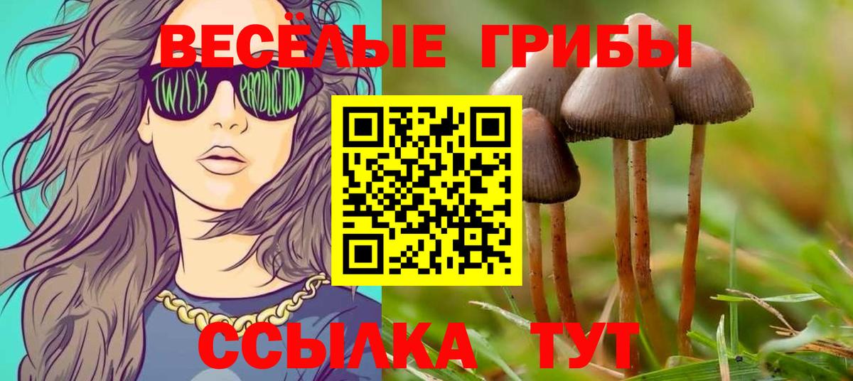 Псилоцибиновые грибы Cubensis Россошь