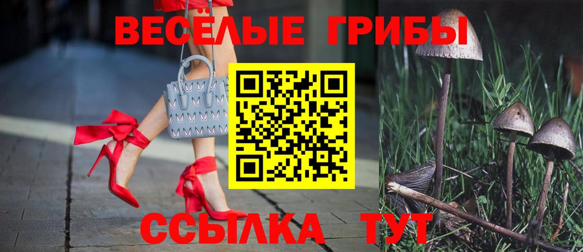 Псилоцибиновые грибы мицелий  Вход с VPN  Галлюциногенные грибы Psilocybe  Россошь 